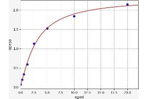 Typical standard curve (SNCG ELISA 试剂盒)