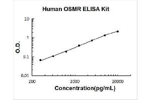 Oncostatin M Receptor (OSMR) ELISA Kit