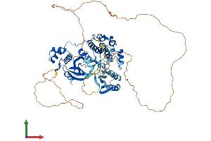 Protein Structure (PS) image for Maternal Embryonic Leucine Zipper Kinase (MELK) (AA 1-651) protein (His tag) (ABIN7554512)