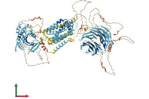 Protein Structure (PS) image for SREBF chaperone (SCAP) (AA 1-1276) protein (His tag) (ABIN7564045)