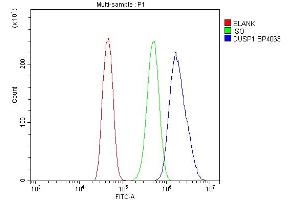 Flow Cytometry analysis of CACO-2 cells using anti-MKP-1/DUSP1 antibody (ABIN7603184).