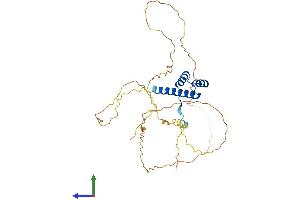 Protein Structure (PS) image for NK3 Homeobox 2 (NKX3-2) (AA 1-333) protein (His tag) (ABIN7549740)