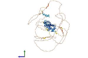 AlphaFold protein structure predicition of Human Recombinant HNF1A Protein, UniprotID P20823