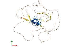 Protein Structure (PS) image for Peptidylprolyl Isomerase G (Cyclophilin G) (PPIG) (AA 1-752) protein (His tag) (ABIN7561948)
