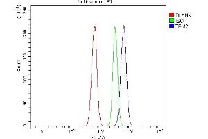 Flow Cytometry analysis of RH35 cells using anti-Tropomyosin 2/TPM2 antibody (ABIN7603245).
