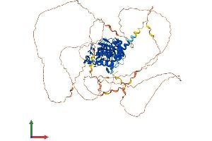 Protein Structure (PS) image for Protein Tyrosine Phosphatase G1 (PTPN12) (AA 1-775) protein (His tag) (ABIN7563191)