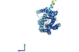 Protein Structure (PS) image for Olfactory Receptor, Family 1, Subfamily A, Member 2 (OR1A2) (AA 1-309) protein (His tag) (ABIN7550351)