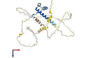 PHOX2B Protein (AA 1-314) (His tag)