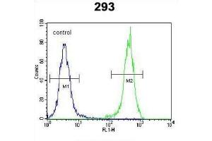 Flow Cytometry (FACS) image for anti-OTU Domain Containing 6B (OTUD6B) antibody (ABIN3002448) (OTUD6B 抗体)