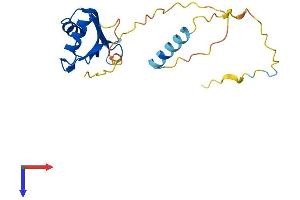 RNA Binding Motif Protein 18 (RBM18) (AA 1-190) protein (His tag)