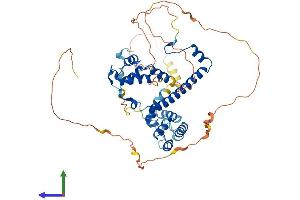 AlphaFold protein structure predicition of Human Recombinant RCOR3 Protein, UniprotID Q9P2K3