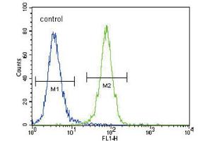 Flow Cytometry (FACS) image for anti-Discoidin Domain Receptor tyrosine Kinase 1 (DDR1) antibody (ABIN3003394) (DDR1 抗体)