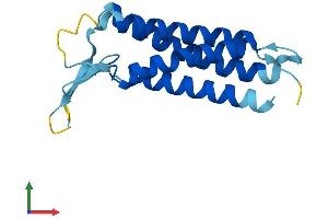 Protein Structure (PS) image for Peripheral Myelin Protein 22 (PMP22) (AA 1-161) protein (His tag) (ABIN7562907)