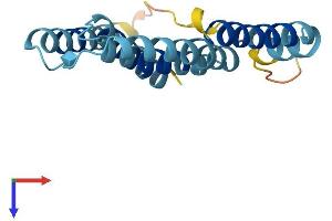 Mitochondrially Encoded NADH Dehydrogenase 6 (MT-ND6) (AA 1-172) protein (His tag)