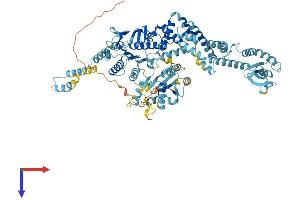 MSH5 Protein (AA 1-833) (His tag)