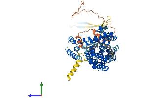 Protein Structure (PS) image for Solute Carrier Family 1 (Glutamate Transporter), Member 7 (SLC1A7) (AA 1-560) protein (His tag) (ABIN7547316)