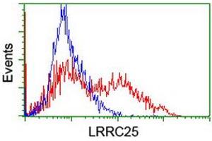 HEK293T cells transfected with either RC209911 overexpress plasmid (Red) or empty vector control plasmid (Blue) were immunostained by anti-LRRC25 antibody (ABIN2455879), and then analyzed by flow cytometry. (LRRC25 抗体)