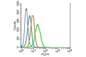 Human U937 cells probed with IL-3R alpha Polyclonal Antibody, Unconjugated  (green) at 1:100 for 30 minutes followed by a PE conjugated secondary antibody compared to unstained cells (blue), secondary only (light blue), and isotype control (orange). (IL3RA 抗体  (AA 201-300))