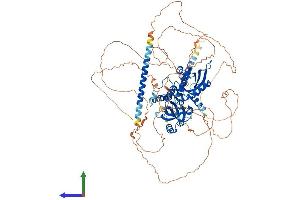 Protein Structure (PS) image for Clock Homolog (Mouse) (CLOCK) (AA 1-855) protein (His tag) (ABIN7562202)