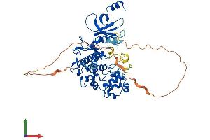 Protein Structure (PS) image for Cyclin-Dependent Kinase 8 (CDK8) (AA 1-464) protein (His tag) (ABIN7564701)