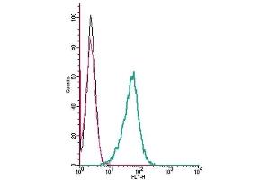 Cell surface detection of α1A-Adrenergic receptor by indirect flow cytometry in live intact mouse J774 macrophage cells: (black line) Cells. (alpha 1 Adrenergic Receptor 抗体  (Cys176Ser-Mutant, Extracellular))