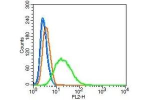 Flow Cytometry (FACS) image for anti-S-Phase Kinase-Associated Protein 2 (SKP2) (AA 351-424) antibody (ABIN737601)
