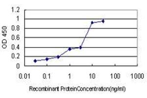 Detection limit for recombinant GST tagged PIN1 is approximately 0. (PIN1 抗体  (AA 64-163))
