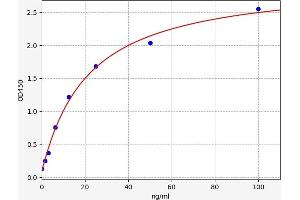 Typical standard curve (OTC ELISA 试剂盒)