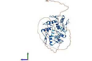 Protein Structure (PS) image for Zinc Finger Protein 121 (ZNF121) (AA 1-390) protein (His tag) (ABIN7545531)