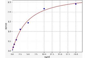 Integrin beta 2 ELISA 试剂盒