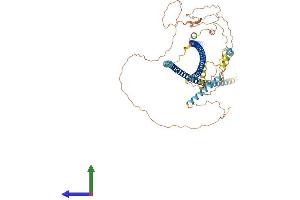 AlphaFold protein structure predicition of Human Recombinant HAP1 Protein, UniprotID P54257