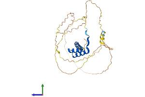 Protein Structure (PS) image for Homeobox C11 (HOXC11) (AA 1-304) protein (His tag) (ABIN7548396)