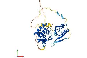 Protein Structure (PS) image for Armadillo Repeat Containing 1 (ARMC1) (AA 1-282) protein (His tag) (ABIN7552337)