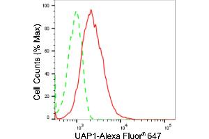 Flow cytometric analysis of UAP1 expression in HepG2 cells using UAP1 antibody (ABIN7800767), 1:2,000). (Recombinant UAP1 抗体)