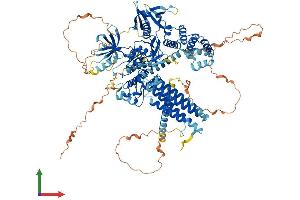 Protein Structure (PS) image for PTK2B Protein tyrosine Kinase 2 beta (PTK2B) (AA 1-1009) protein (His tag) (ABIN7565133)