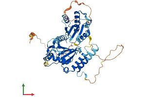 Protein Structure (PS) image for Ubiquitin-Conjugating Enzyme E2Q Family Member 1 (UBE2Q1) (AA 1-422) protein (His tag) (ABIN7544843)