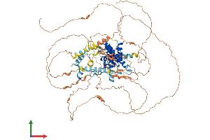 Protein Structure (PS) image for YY1 Associated Protein 1 (YY1AP1) (AA 1-796) protein (His tag) (ABIN7545712)