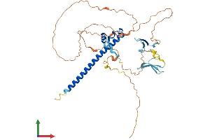 Protein Structure (PS) image for Salvador Homolog 1 (SAV1) (AA 1-386) protein (His tag) (ABIN7564754)
