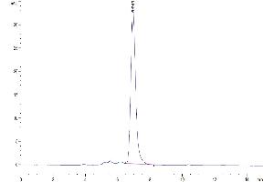 Size-exclusion chromatography-High Pressure Liquid Chromatography (SEC-HPLC) image for Interleukin 18 Receptor Accessory Protein (IL18RAP) (AA 20-356) protein (Fc Tag) (ABIN7274975)
