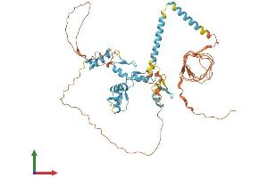AlphaFold protein structure predicition of Human Recombinant VEZF1 Protein, UniprotID Q14119