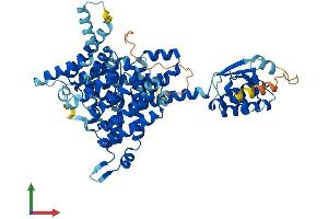 Protein Structure (PS) image for Solute Carrier Family 26, Member 11 (SLC26A11) (AA 1-606) protein (His tag) (ABIN7551681)