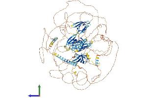 AlphaFold protein structure predicition of Mouse Recombinant Pard3 Protein, UniprotID Q99NH2