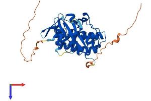 PIM3 Protein (AA 1-326) (His tag)