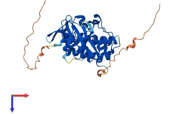 PIM3 Protein (AA 1-326) (His tag)