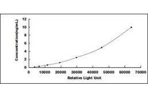phosphoserine Aminotransferase 1 (PSAT1) CLIA Kit