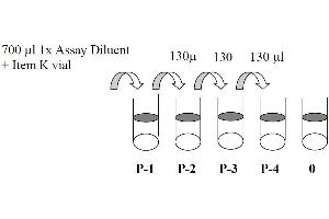 This picture shows the preparation of the positive control. (STAT1 ELISA 试剂盒)