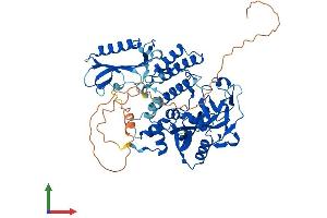 AlphaFold protein structure predicition of Human Recombinant PARP2 Protein, UniprotID Q9UGN5