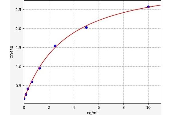 NOTCH2 ELISA 试剂盒