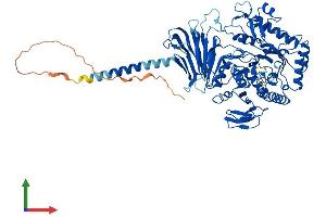 Protein Structure (PS) image for Myogenesis Regulating Glycosidase (MYORG) (AA 1-714) protein (His tag) (ABIN7548612)