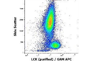 Flow cytometry intracellular staining pattern of human peripheral whole blood using anti-LCK (LCK-01) purified antibody (concentration in sample 9 μg/mL, GAM APC). (LCK 抗体  (AA 22-36))